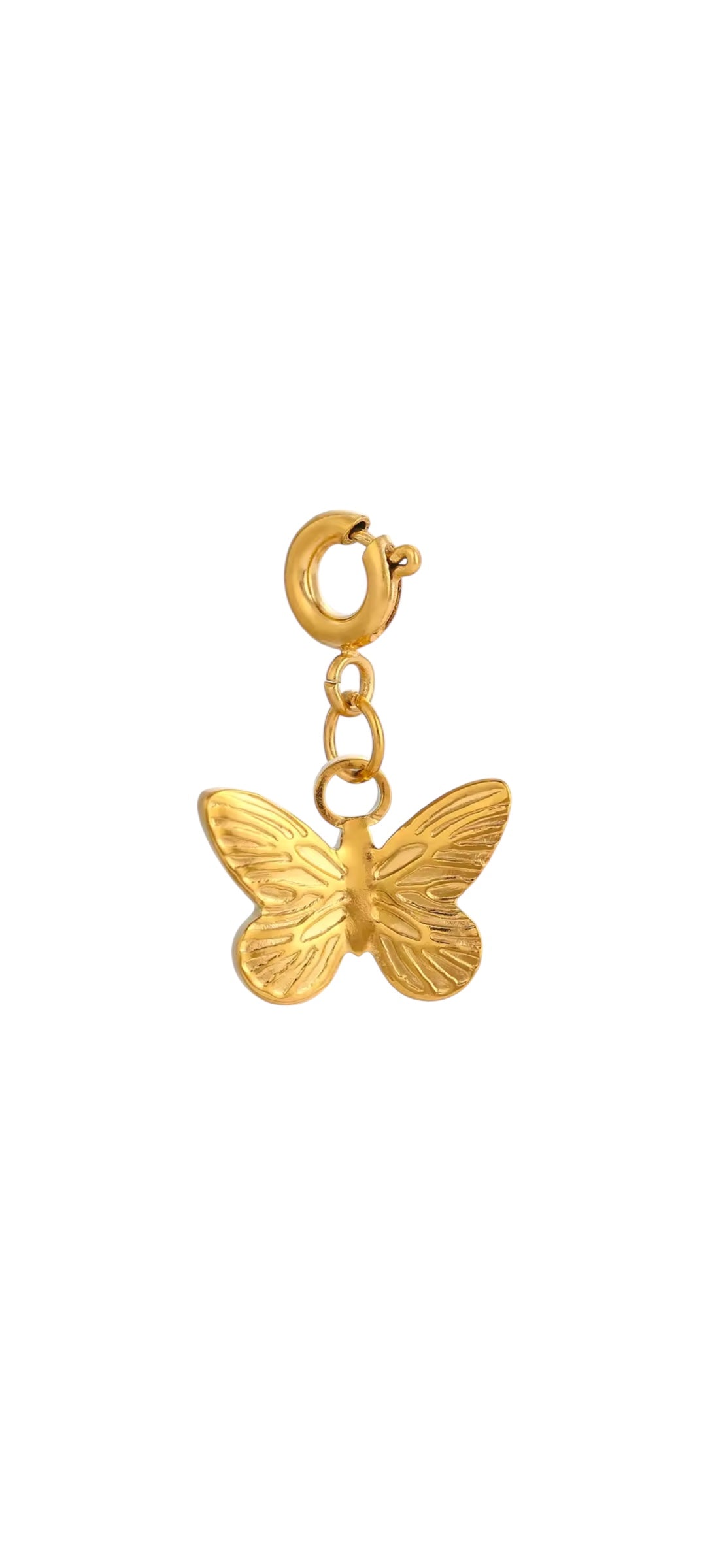 All about Charms